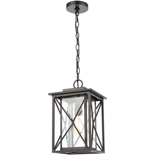 Carriage Light 1 Light 9 inch Matte Black Outdoor Pendant