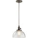 Avery 1 Light 10 inch Olde Bronze Mini Pendant Ceiling Light in A19