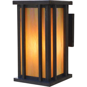 Glencoe 1 Light 15 inch Pewter Outdoor Wall Mount in Amber Mica