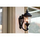 Carriage House DC 2 Light 20 inch Oriental Bronze Outdoor Wall Mount