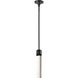 Zigrina 1 Light 5.13 inch Satin Brushed Black Pendant Ceiling Light