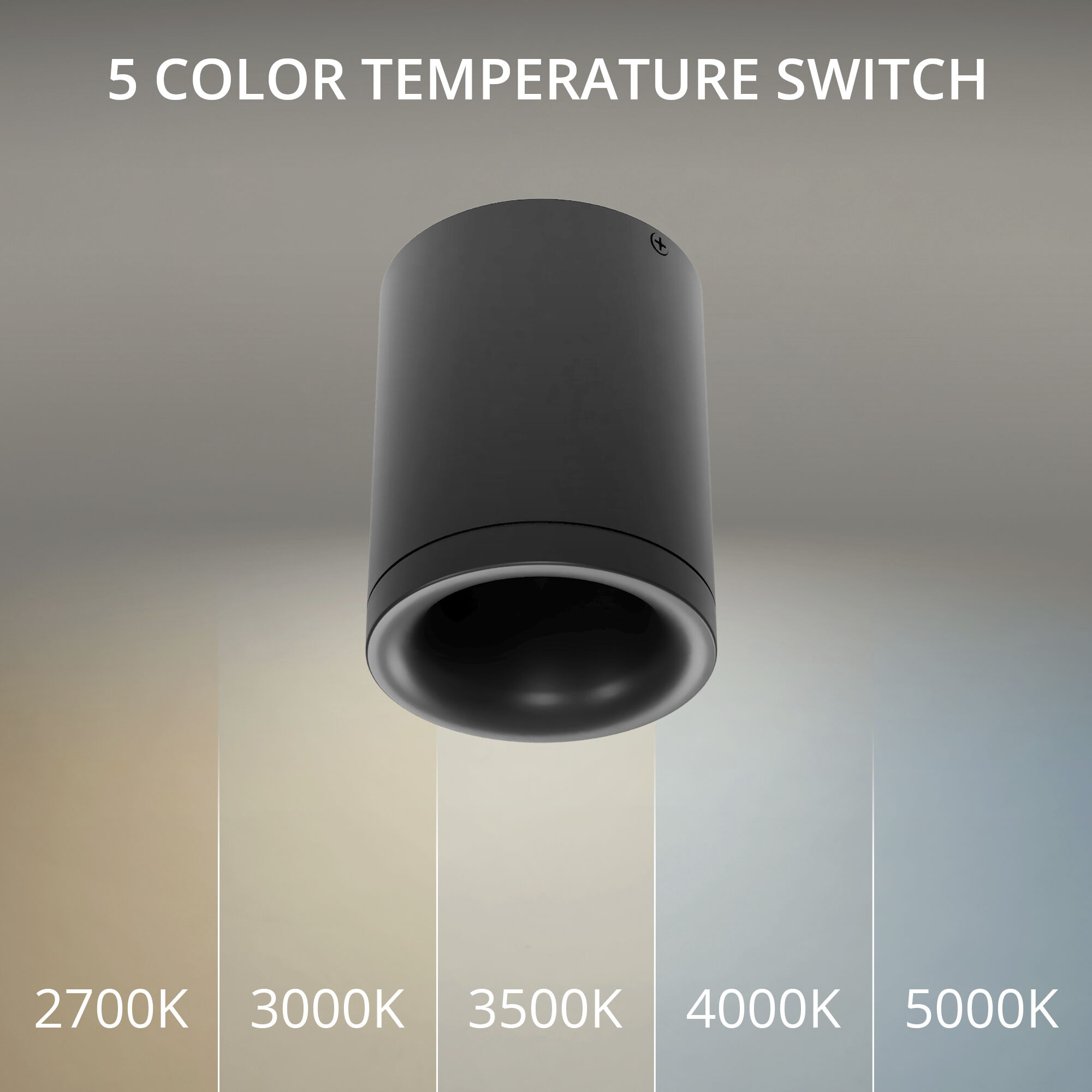 Zoron LED 3.63 inch Arc Black Outdoor Ceiling Lighting