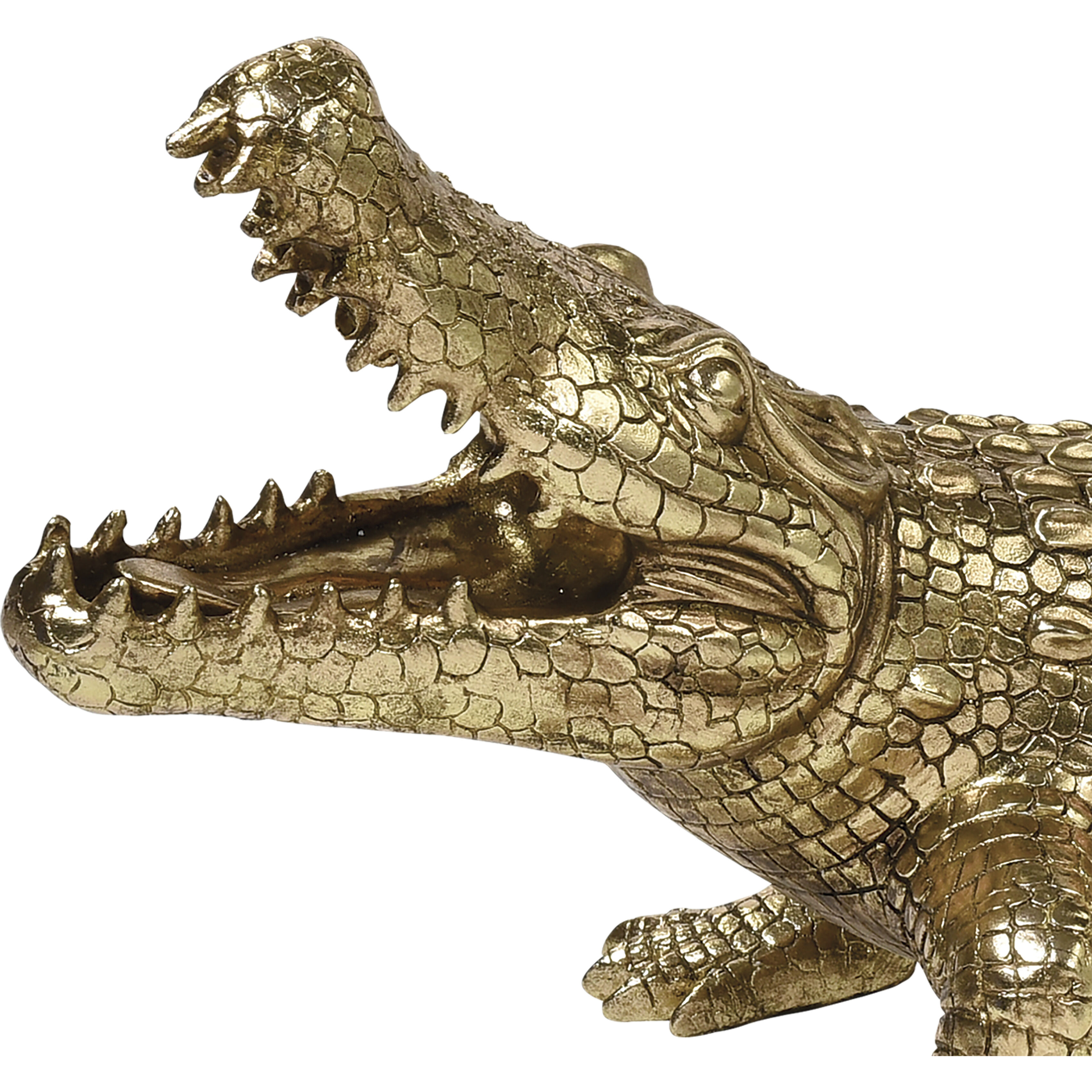 What a Croc 36 X 12 inch Sculpture