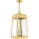 Oslo 3 Light 11 inch Satin Brass Outdoor Pendant Lantern