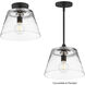 Hudson 1 Light 12 inch Black Single Pendant Ceiling Light in Clear