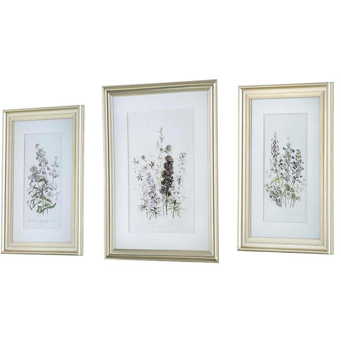 Floral Multi Color Wall Art, Set of 3
