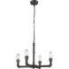 Canada 4 Light 22 inch Charcoal Black Chandelier Ceiling Light