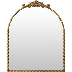 Aarlen 30 X 20 inch Gold Accent Mirror