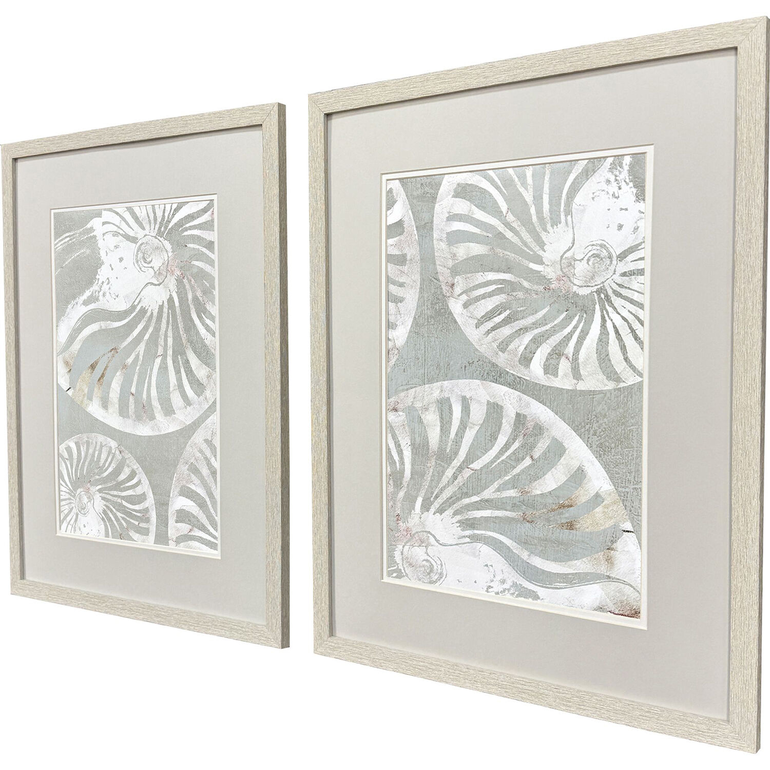 Nautilus Shell Green and Gray Framed Art, Propac