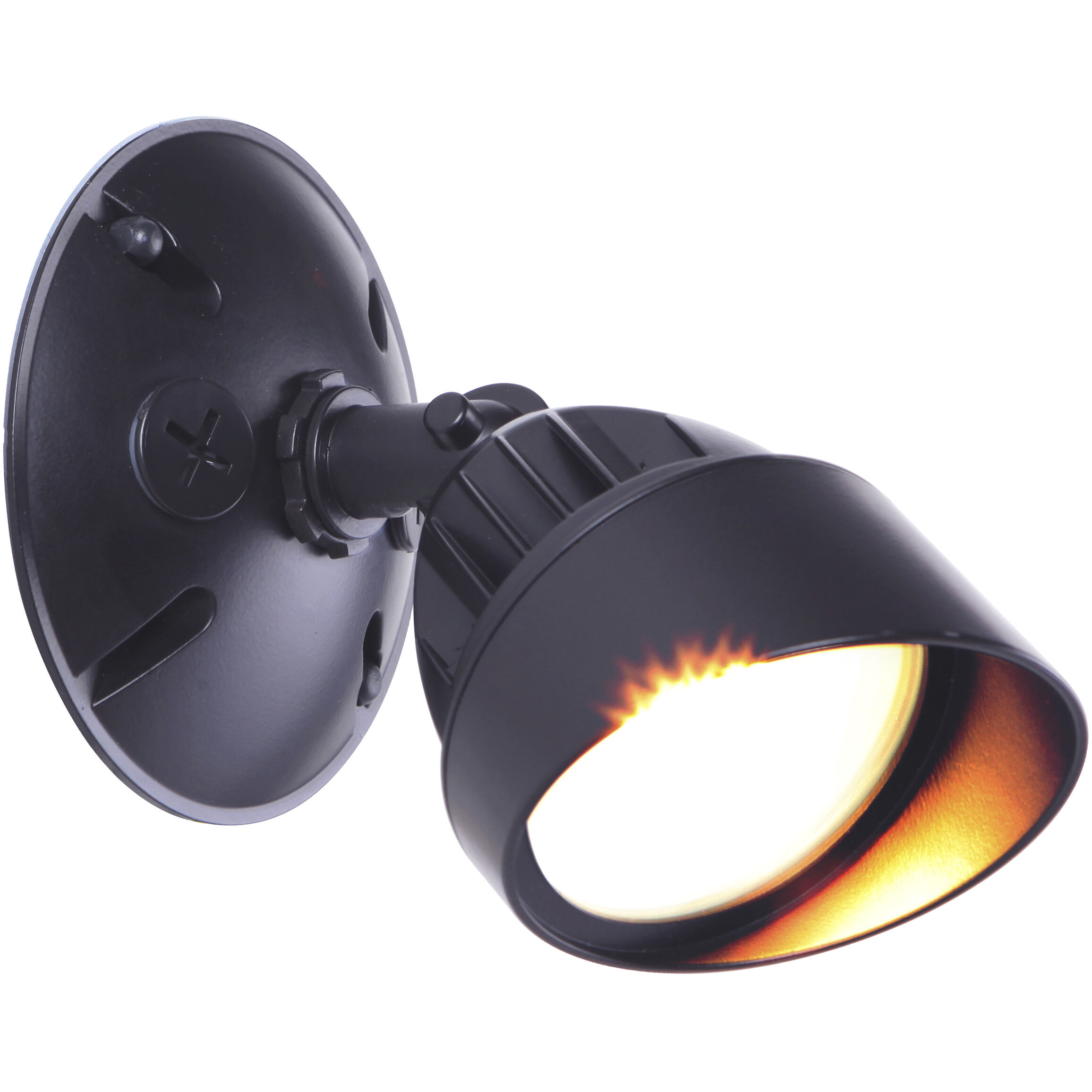 Bejamin LED Bronze Outdoor Flood