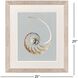 Neutral Nautilus Gray and Beige and Multi and Neutral Framed Art, Propac