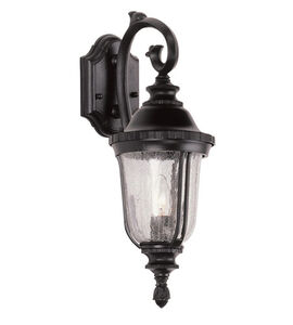 Chessie 1 Light 20 inch Black Copper Outdoor Wall Lantern