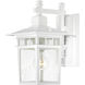 Cove Neck 1 Light 12 inch White Outdoor Wall Light