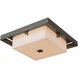 Shadow Box 4 Light 16.1 inch Coastal Dark Smoke and Coastal Dark Smoke Outdoor Flush Mount, Large