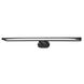 Berkshire 3 Light 37.00 inch Picture Light