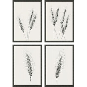 Florals Black and Beige and Neutral Framed Art