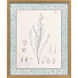 Botanical Sketch I Gray and Beige and Neutral and Sepia Framed Art
