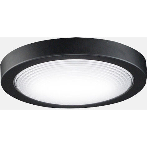 Spitfire 1 Light Antique Graphite Fan Light Kit