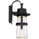Balthus LED 14 inch Black Outdoor Wall Light in 14in.