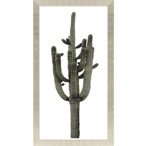 Saguaro Green and White Framed Art