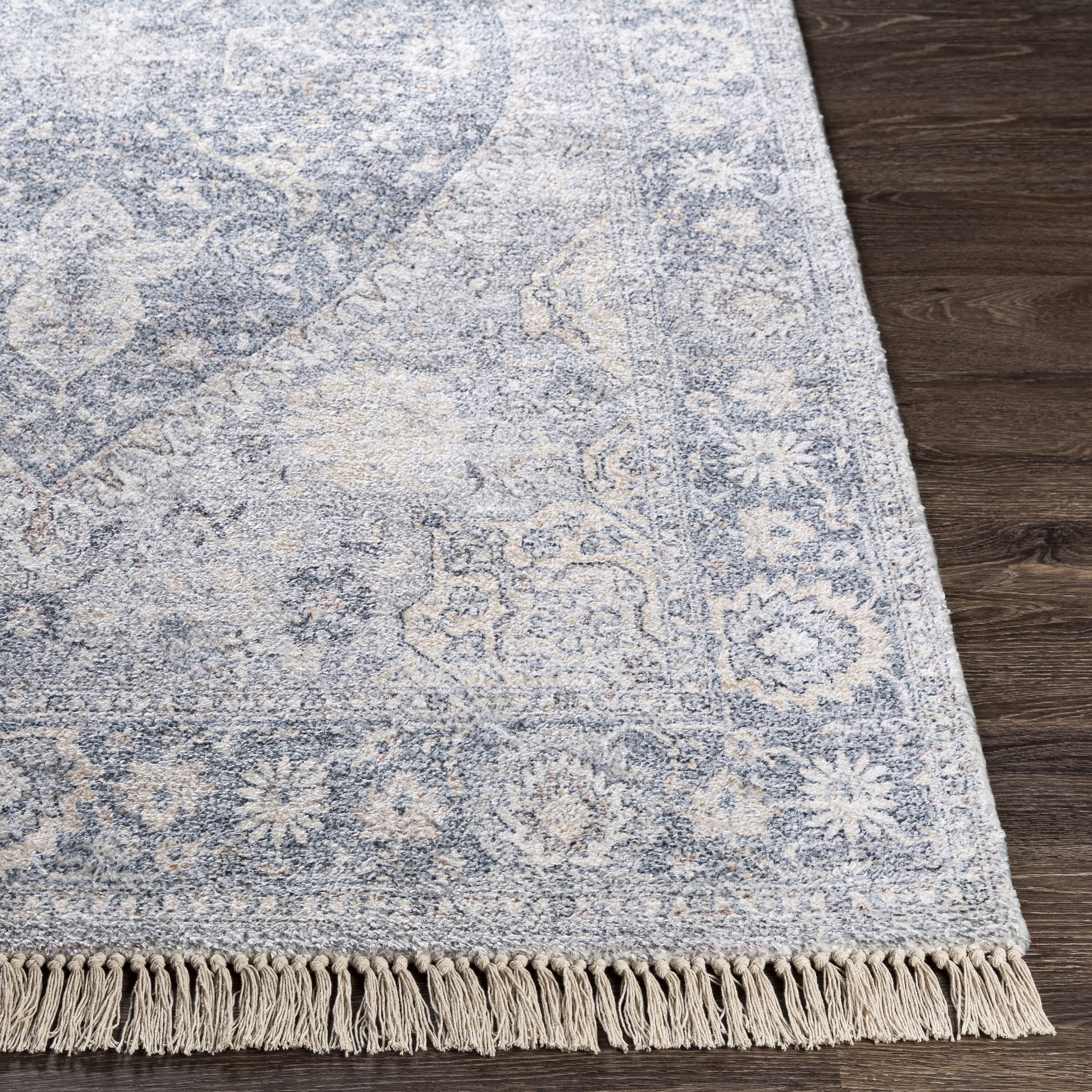 Sivas 36 X 24 inch Light Gray Rug in 2 x 3, Rectangle