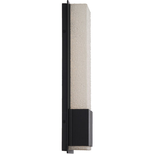 Vodka LED 5 inch Black Vanity Light Wall Light in 16in.