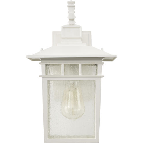 Cove Neck 1 Light 14 inch White and Clear Seeded Outdoor Wall Light