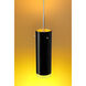 Cyrus LED 4 inch Matte Chrome Large Pendant Ceiling Light in Black Outer/Gold Inner Glass