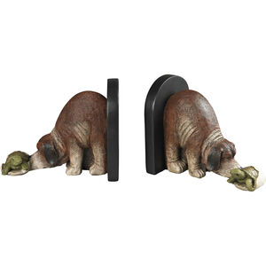 Hatching Turtle Brown Ornamental Accessory, Bookends