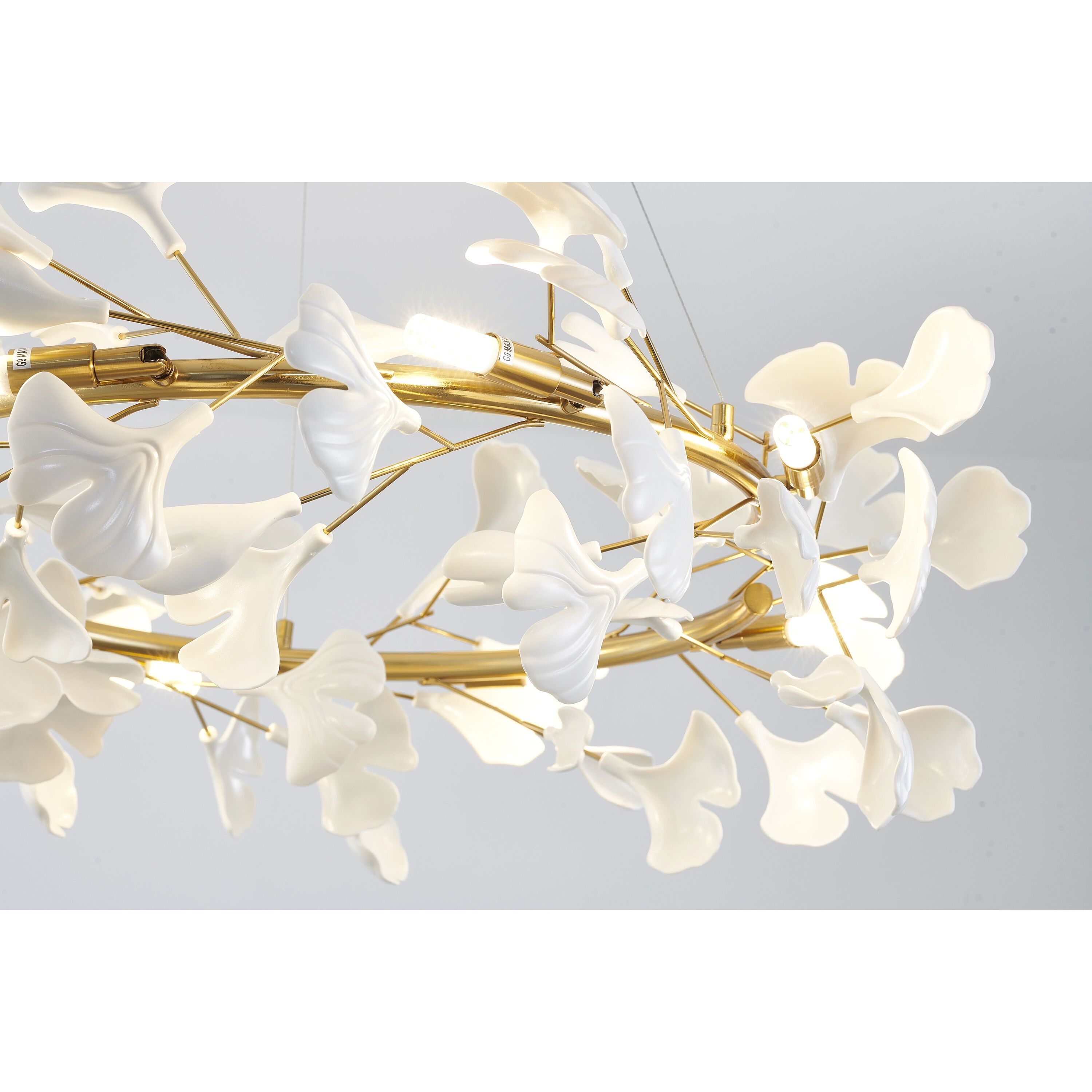 Canada 8 Light 31.5 inch Brass and Matte White Chandelier Ceiling Light