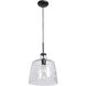 Simplicite LED 11 inch Black Pendant Ceiling Light
