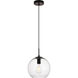 Placido 1 Light 10 inch Black and Clear Pendant Ceiling Light