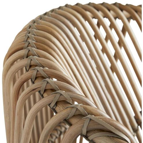 Eleanor 29.5 inch Gray Wash Lounge Chair