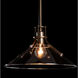 Henry 1 Light 14.4 inch Coastal Bronze Outdoor Pendant in Clear, Medium