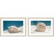 Naturals Collection White Framed Art