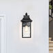 Austen 17 inch Matte Black Outdoor Wall Lantern, Large