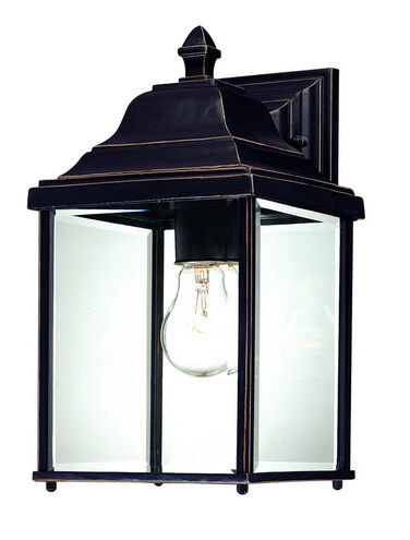 Charleston 1 Light 13 inch Antique Bronze Exterior Wall Lantern in Beveled