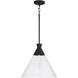 Paloma 1 Light 15 inch Textured Black Pendant Ceiling Light