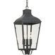 Dumont 3 Light 9.25 inch Graphite Outdoor Pendant