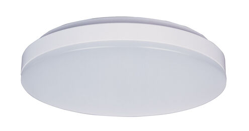 Profile EE LED 10 inch White Flush Mount Ceiling Light