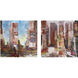 New York City IV Multicolor Wall Art