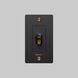 1G Toggle 120-277 Black / Warm Sunset Light Switch