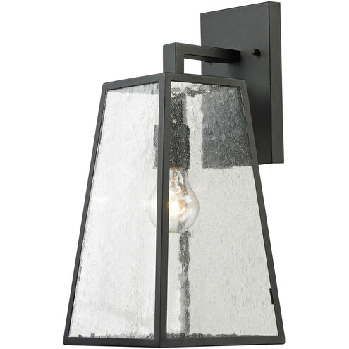 Logan 1 Light 16 inch Matte Black with Clear Outdoor Wall Sconce