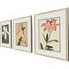 Enchanted Blooms Pink and Beige and Brown and Multi Framed Art