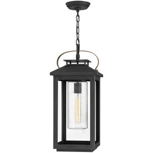 Coastal Elements Atwater LED 10 inch Black Outdoor Hanging Lantern, Low Voltage