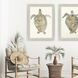 Neutral Turtle Brown and Beige and Blue and Neutral Framed Art
