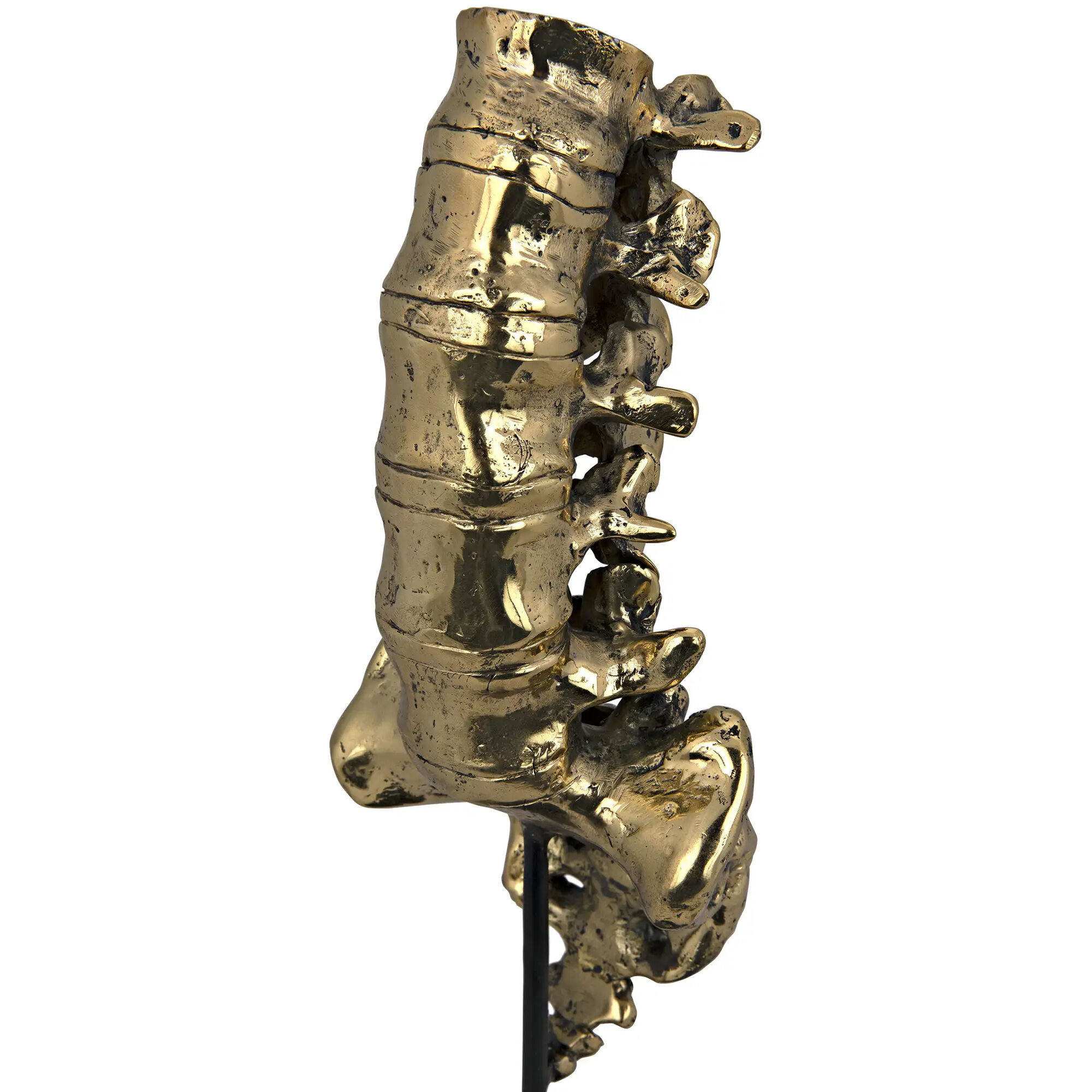 Vertebrae Brass Decor Accessory