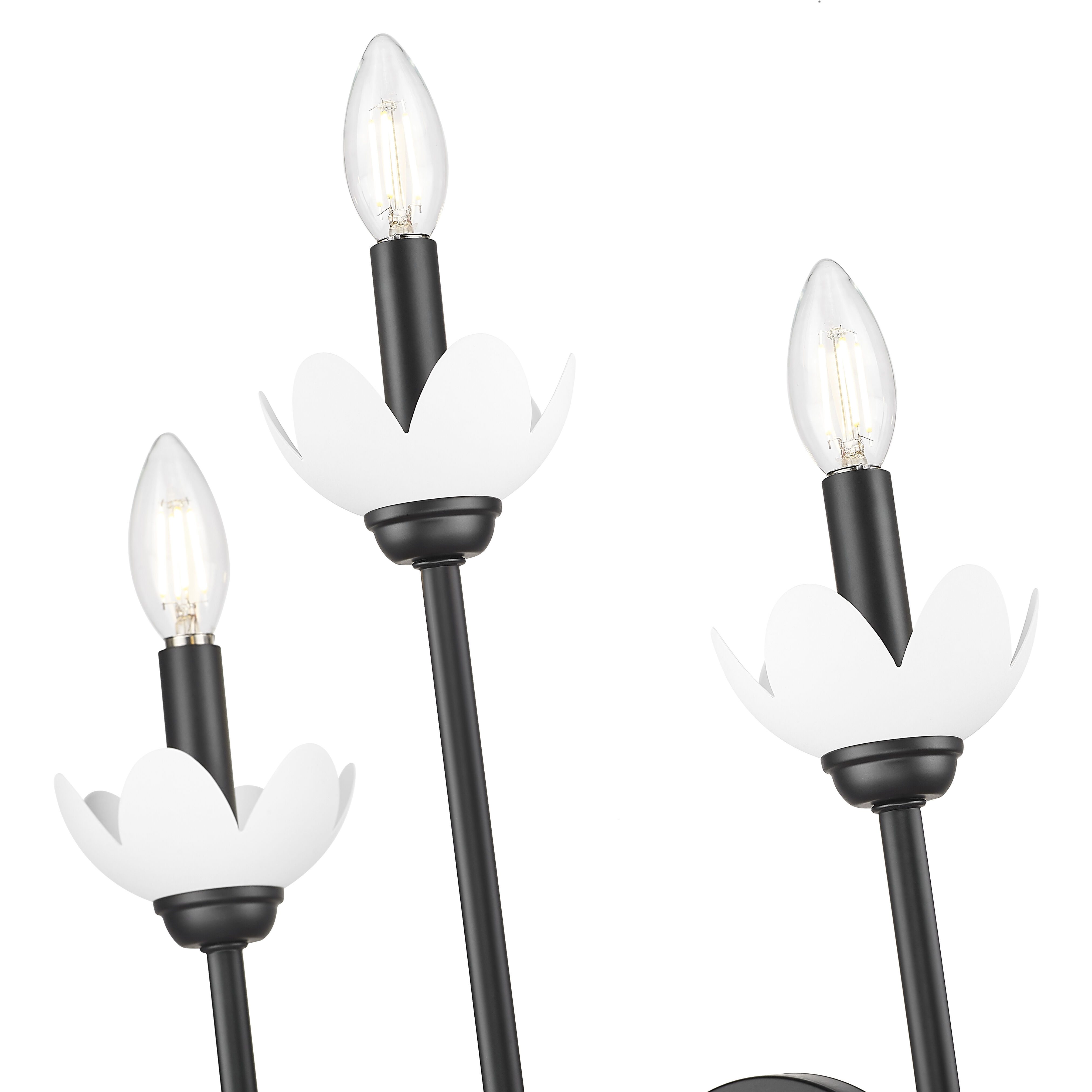 Allistair Wall Sconce Wall Light in Matte Black