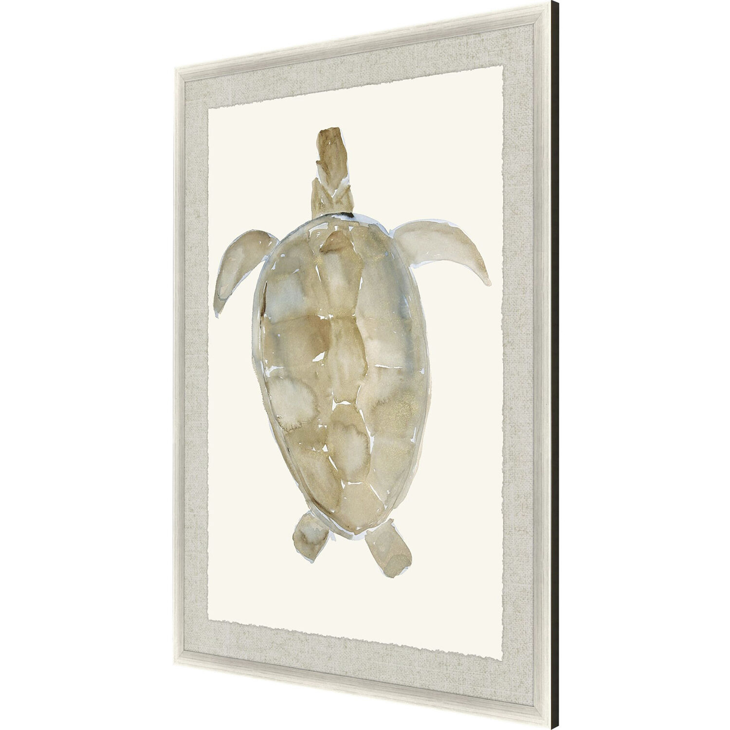 Neutral Turtle Brown and Beige and Blue and Neutral Framed Art