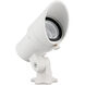 Mini Accent White Low Voltage Accent Light in 3000K Warm White LED, WAC Landscape